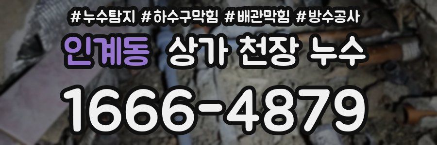 인계동 상가 천장 누수
