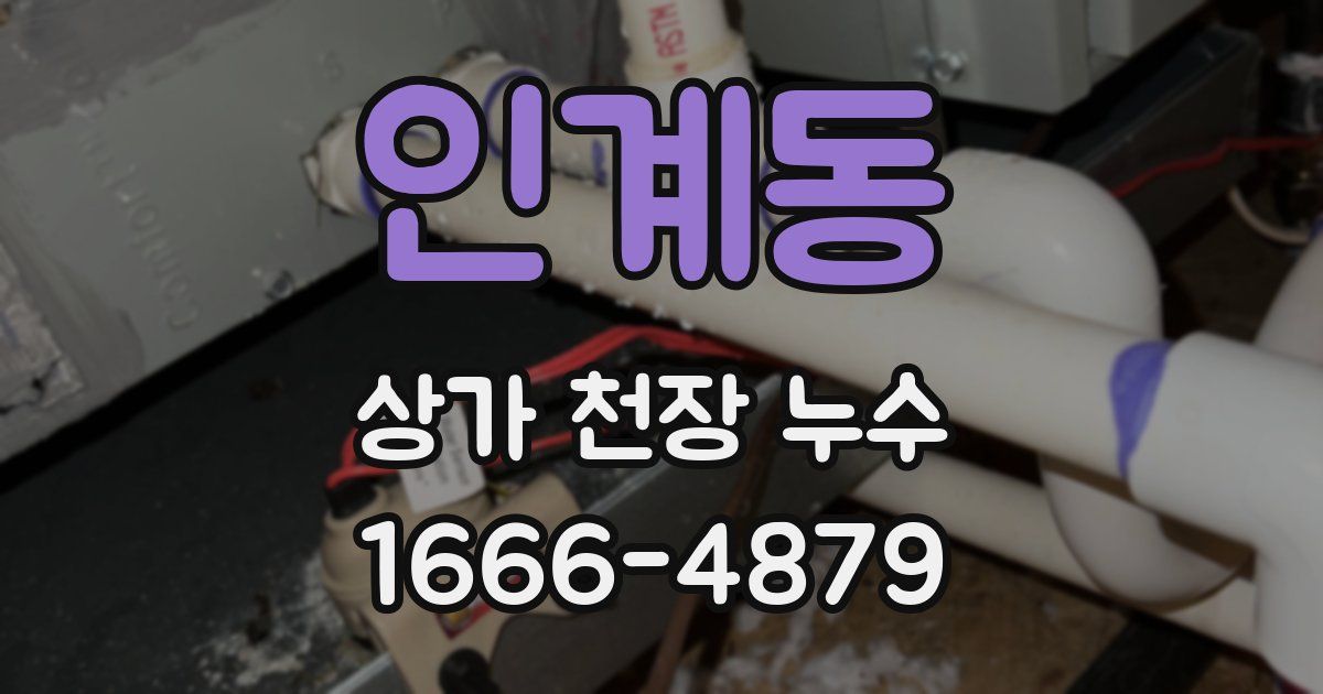 인계동 상가 천장 누수
