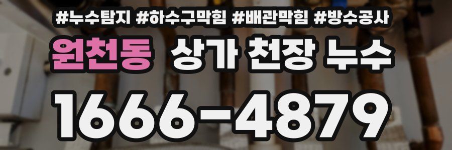 원천동 상가 천장 누수