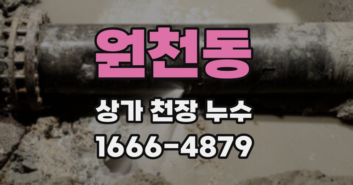 원천동 상가 천장 누수