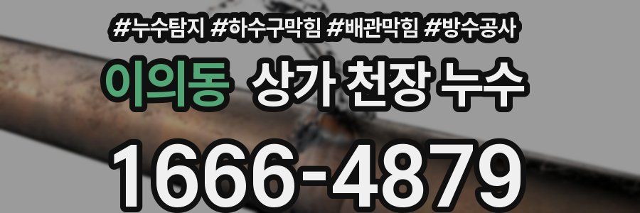 이의동 상가 천장 누수