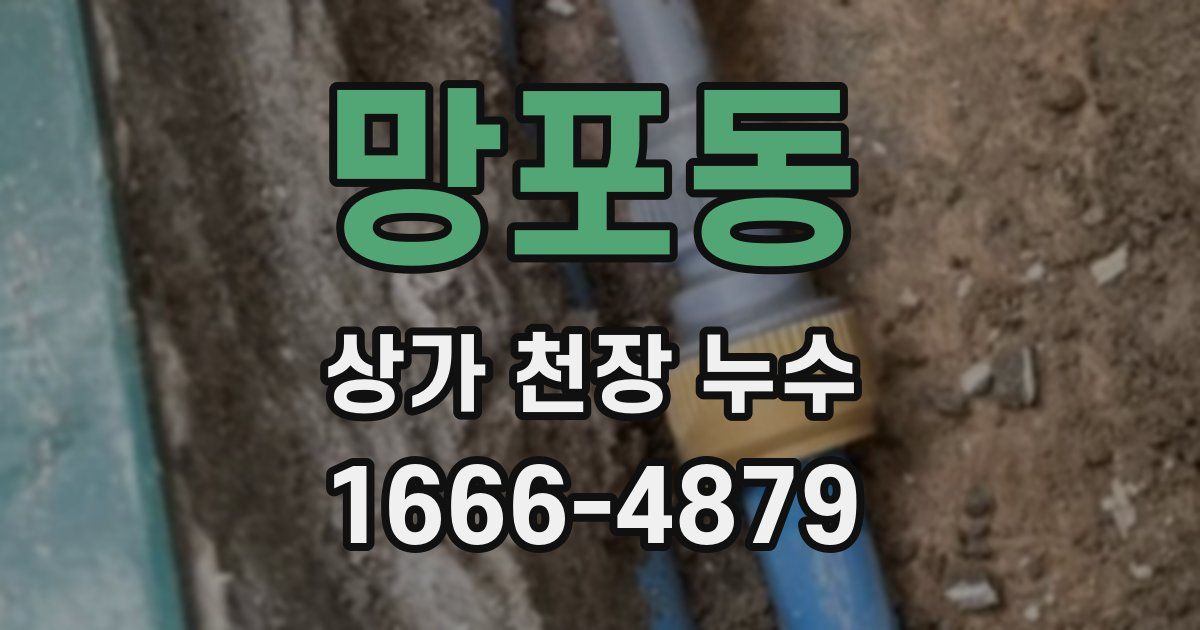 망포동 상가 천장 누수