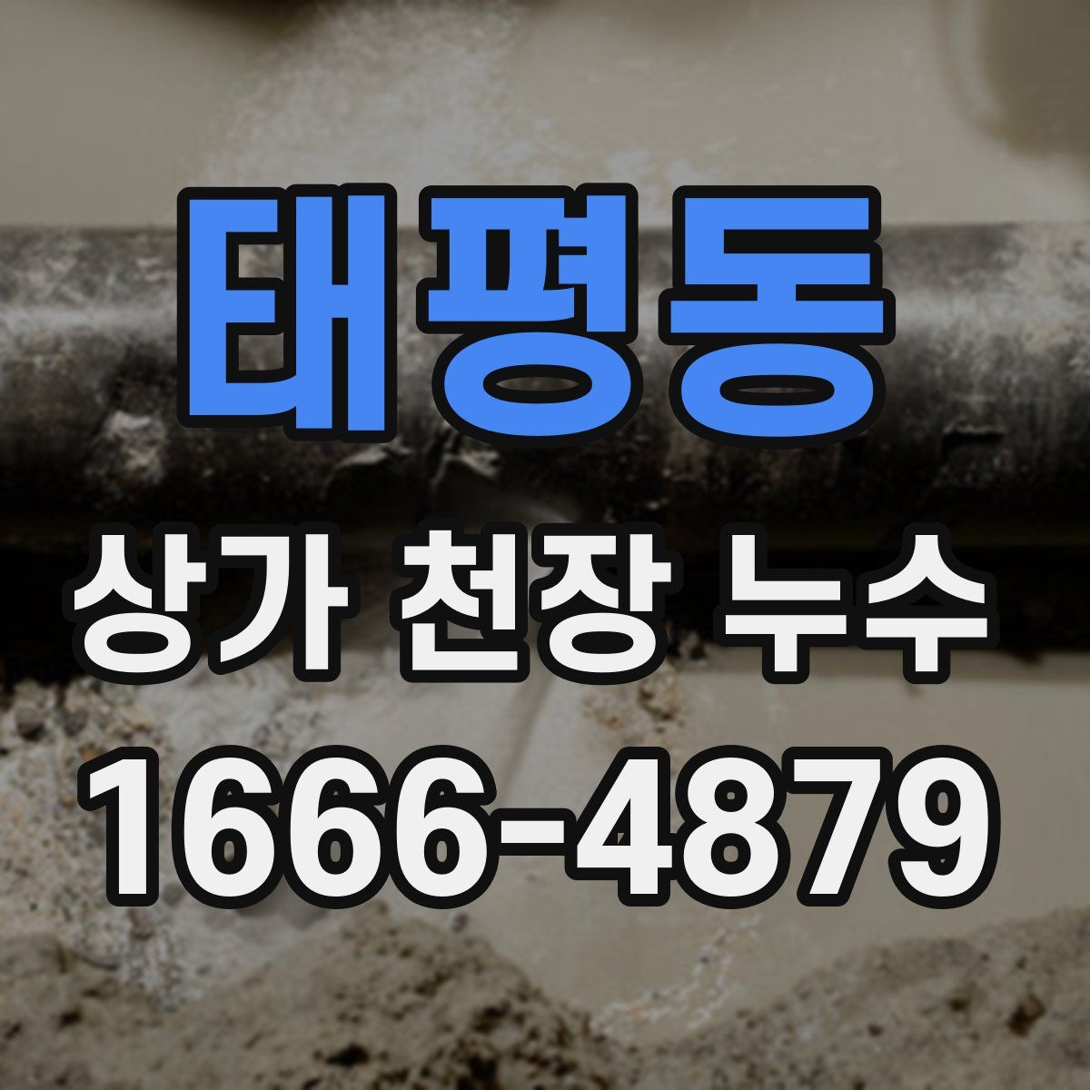 태평동 상가 천장 누수