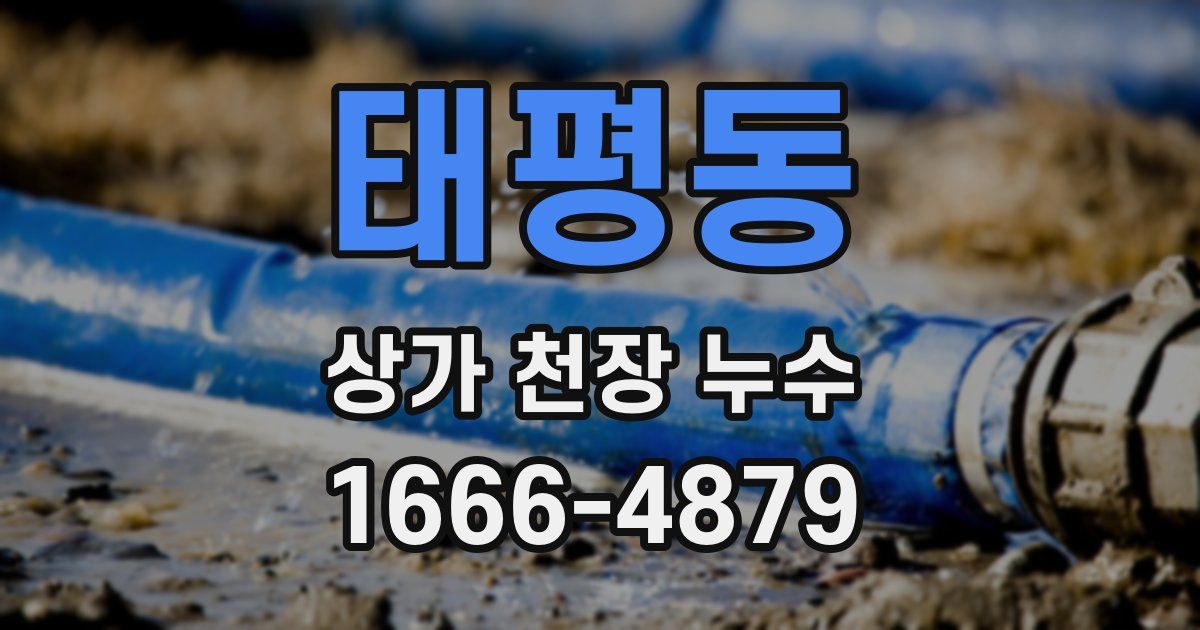 태평동 상가 천장 누수
