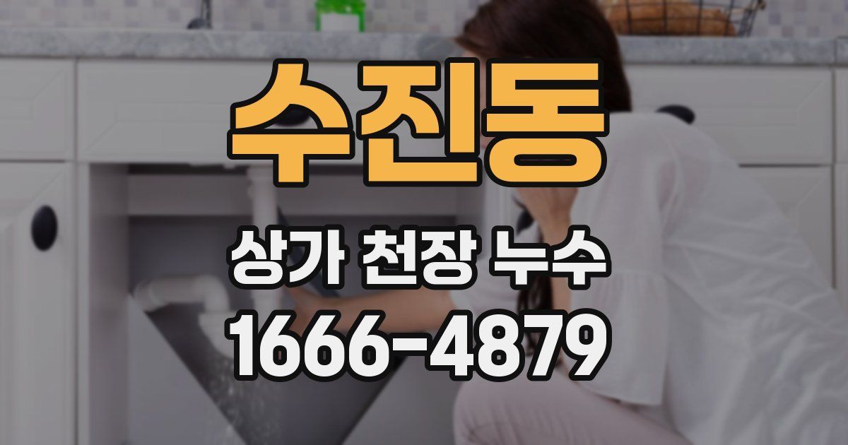수진동 상가 천장 누수