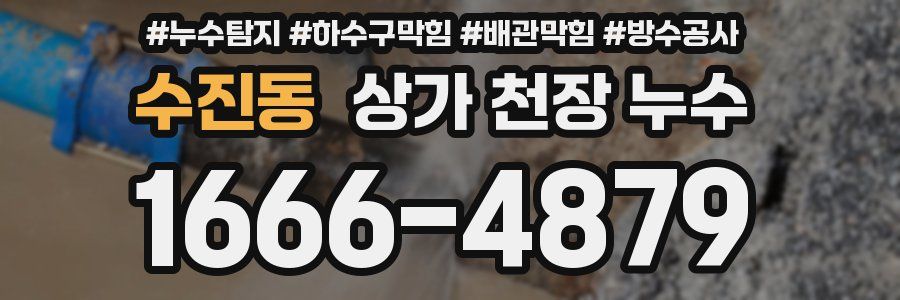 수진동 상가 천장 누수