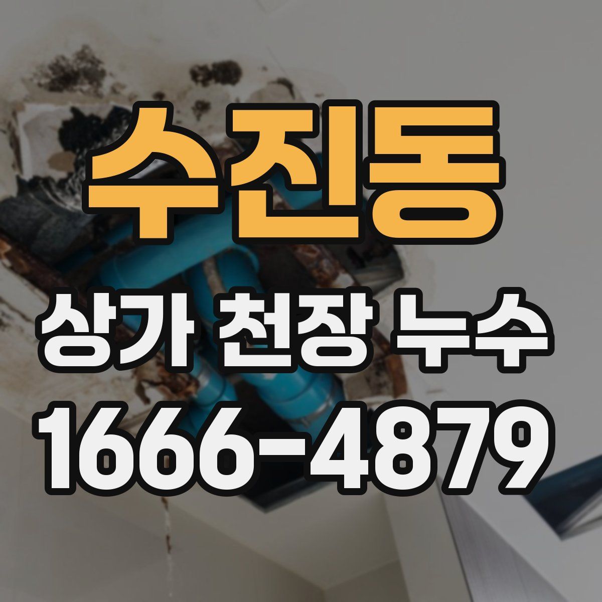 수진동 상가 천장 누수