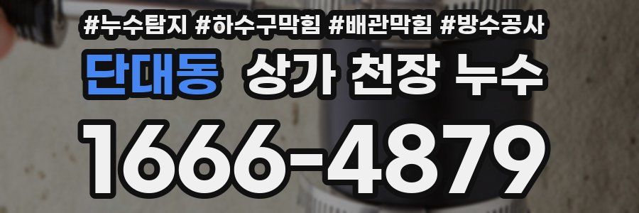 단대동 상가 천장 누수