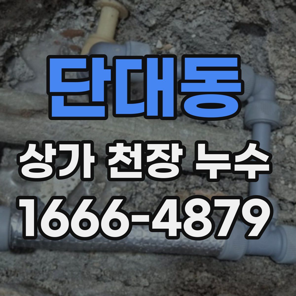 단대동 상가 천장 누수