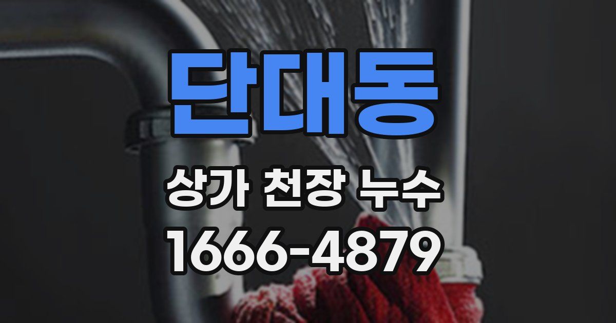 단대동 상가 천장 누수