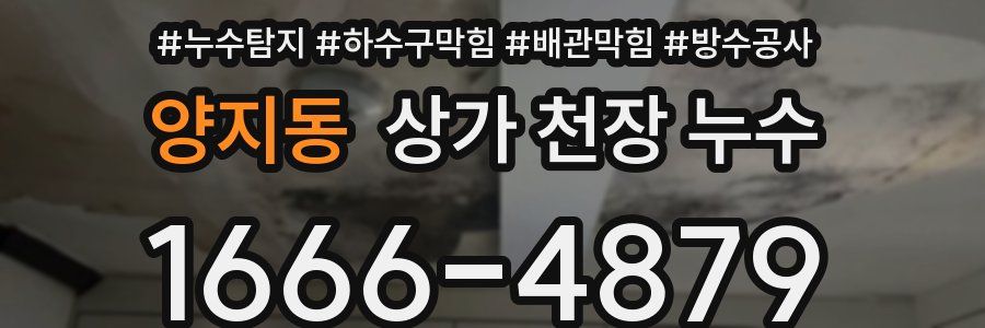 양지동 상가 천장 누수