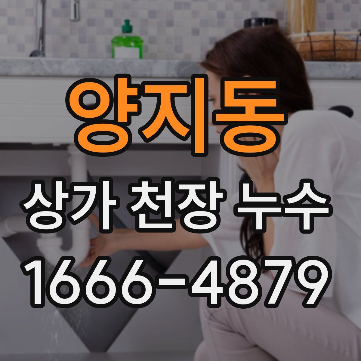 양지동 상가 천장 누수