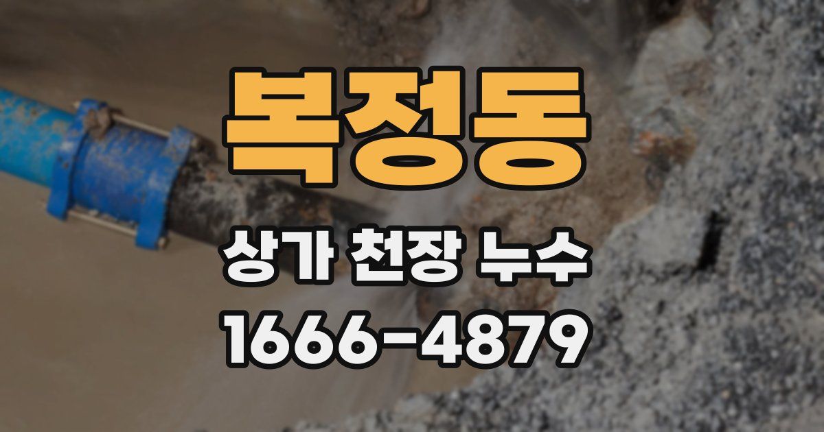 복정동 상가 천장 누수