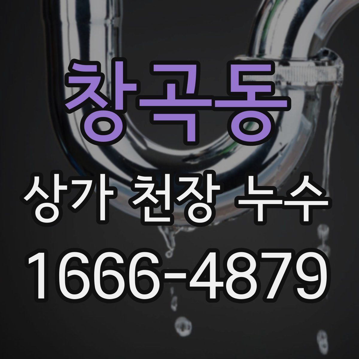 창곡동 상가 천장 누수