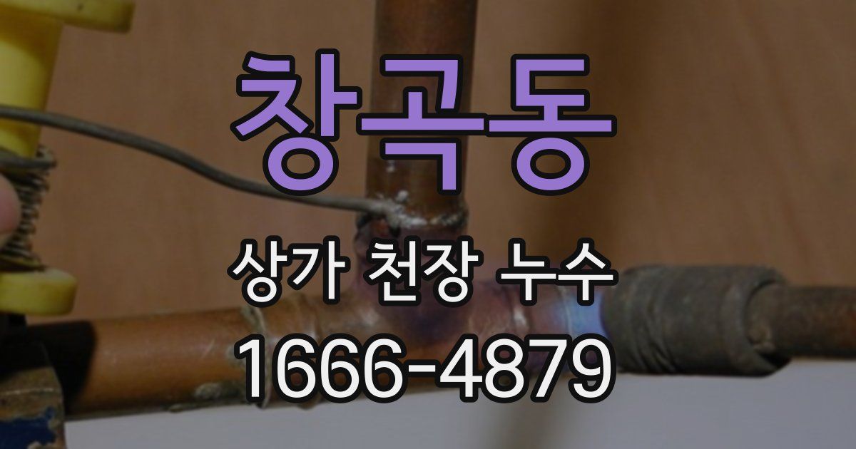 창곡동 상가 천장 누수