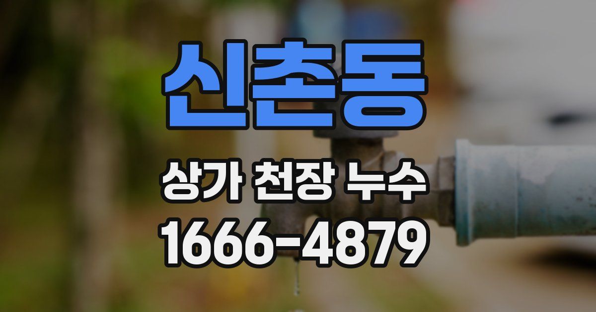 신촌동 상가 천장 누수