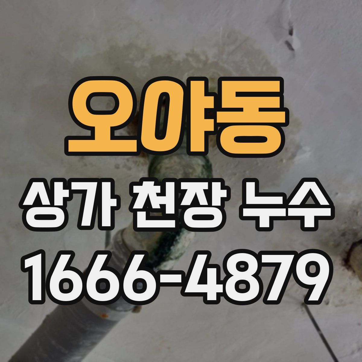 오야동 상가 천장 누수