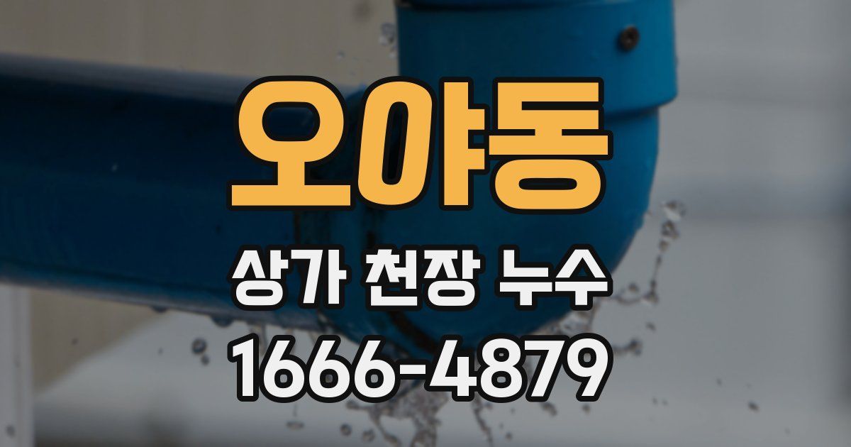 오야동 상가 천장 누수