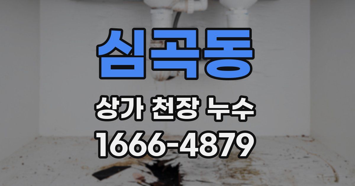 심곡동 상가 천장 누수