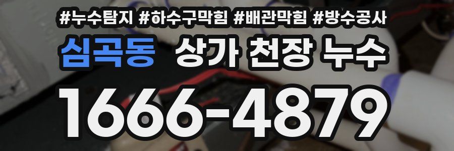 심곡동 상가 천장 누수