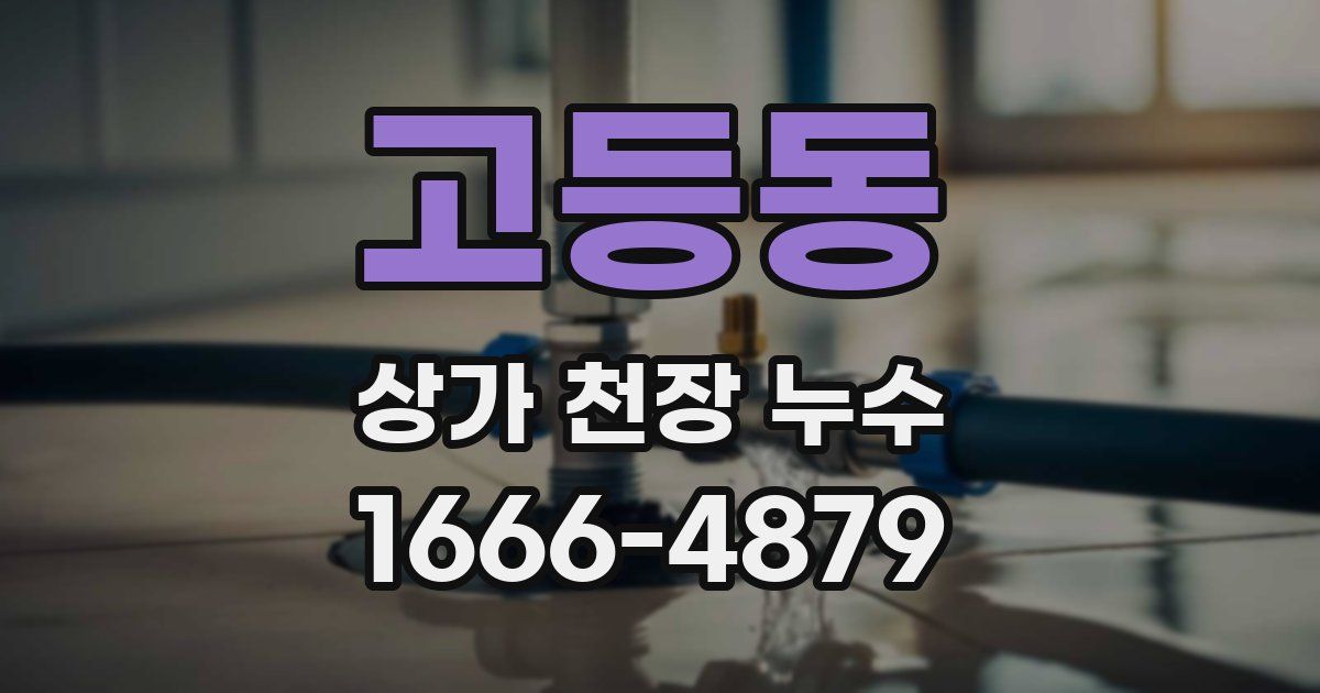 고등동 상가 천장 누수