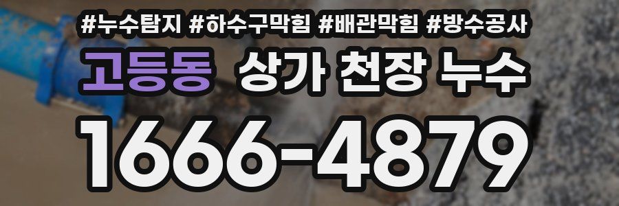 고등동 상가 천장 누수