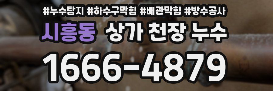 시흥동 상가 천장 누수