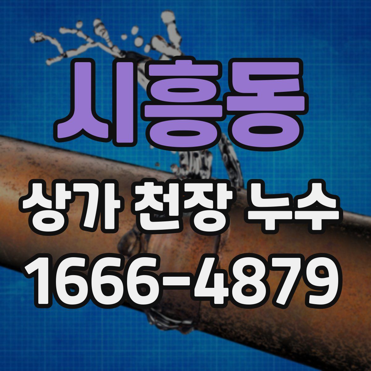 시흥동 상가 천장 누수