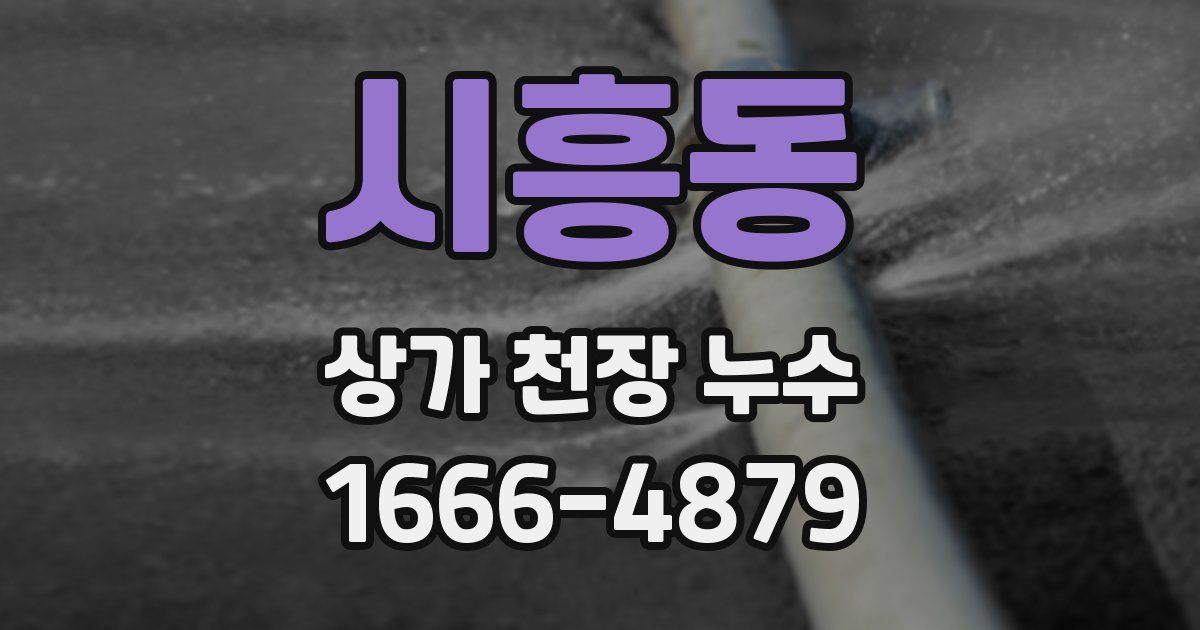 시흥동 상가 천장 누수
