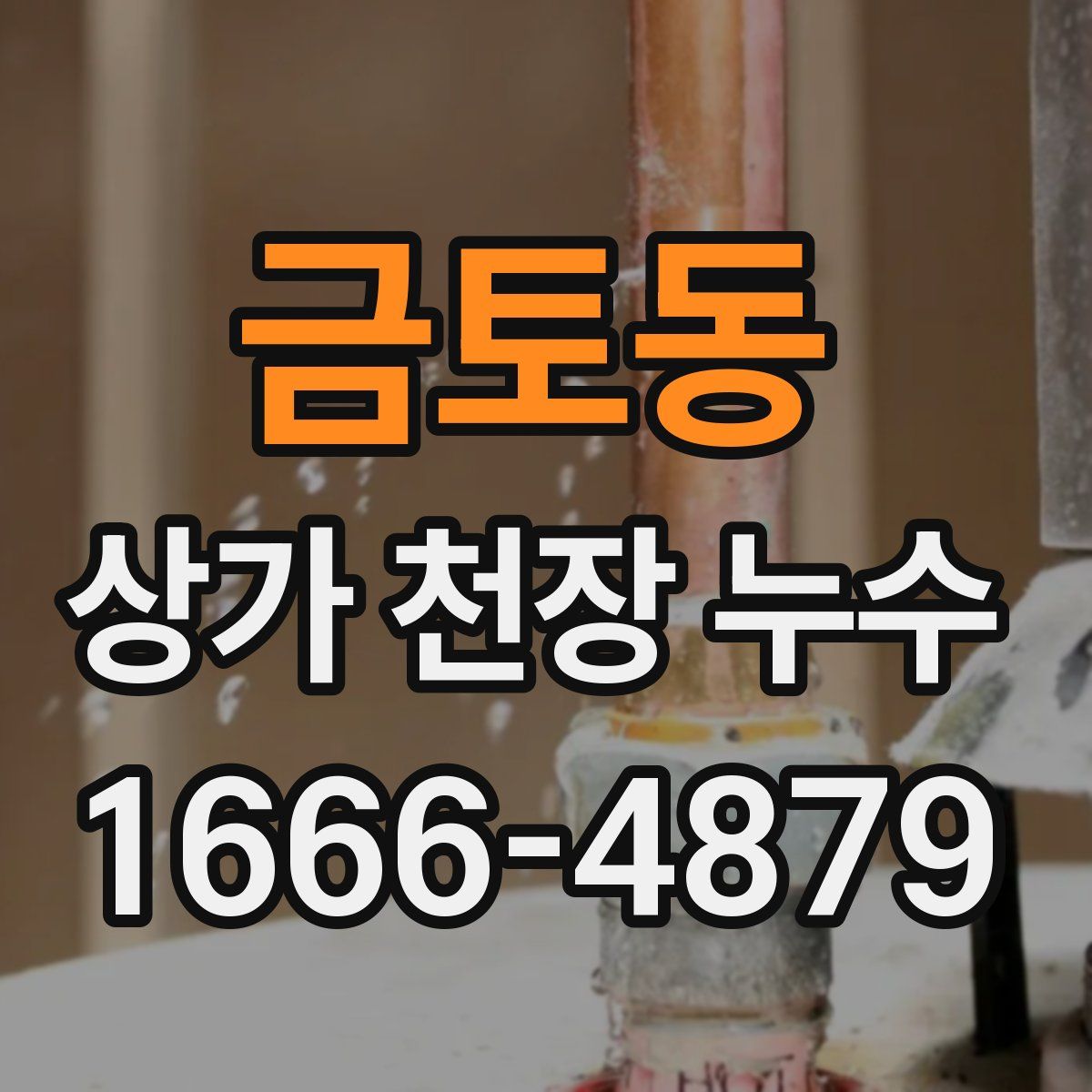 금토동 상가 천장 누수
