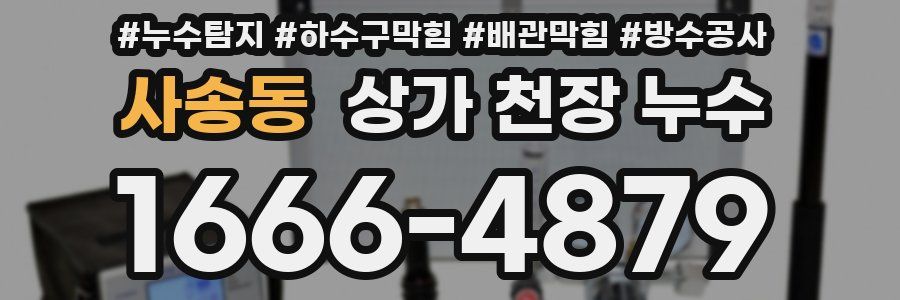 사송동 상가 천장 누수