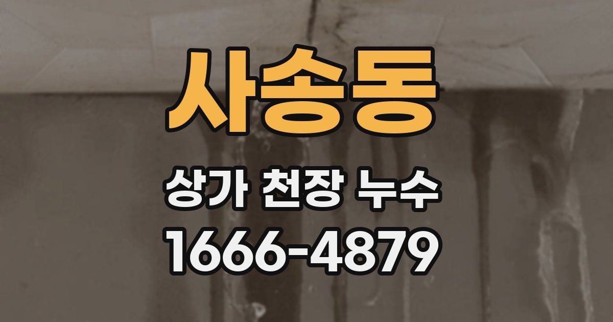 사송동 상가 천장 누수