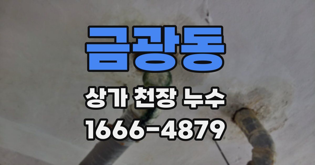 금광동 상가 천장 누수