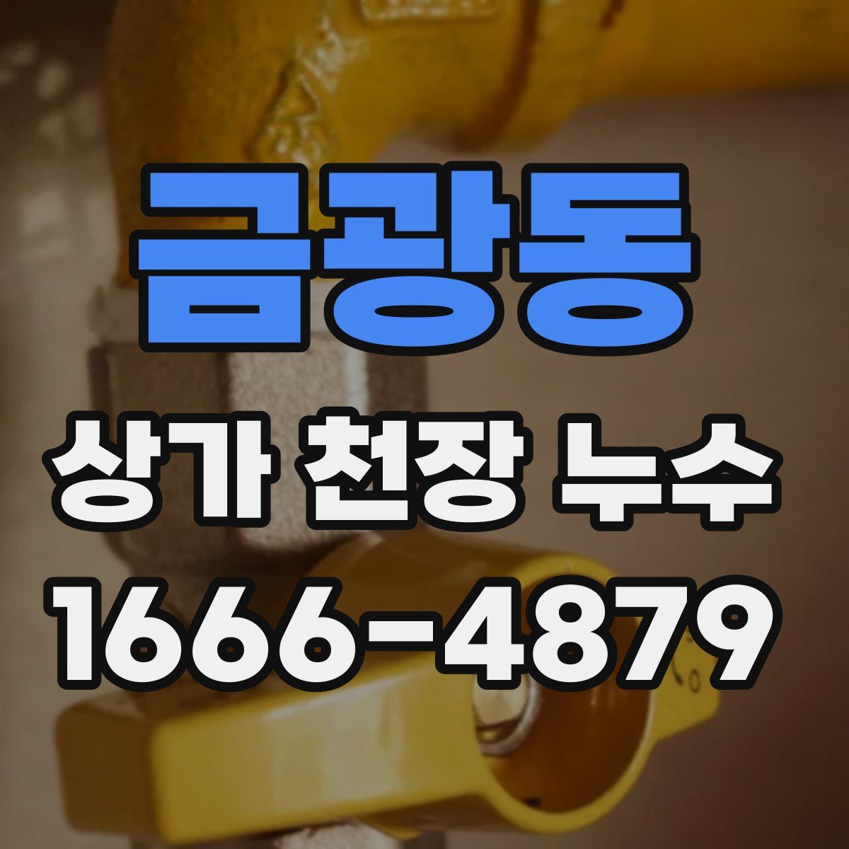 금광동 상가 천장 누수