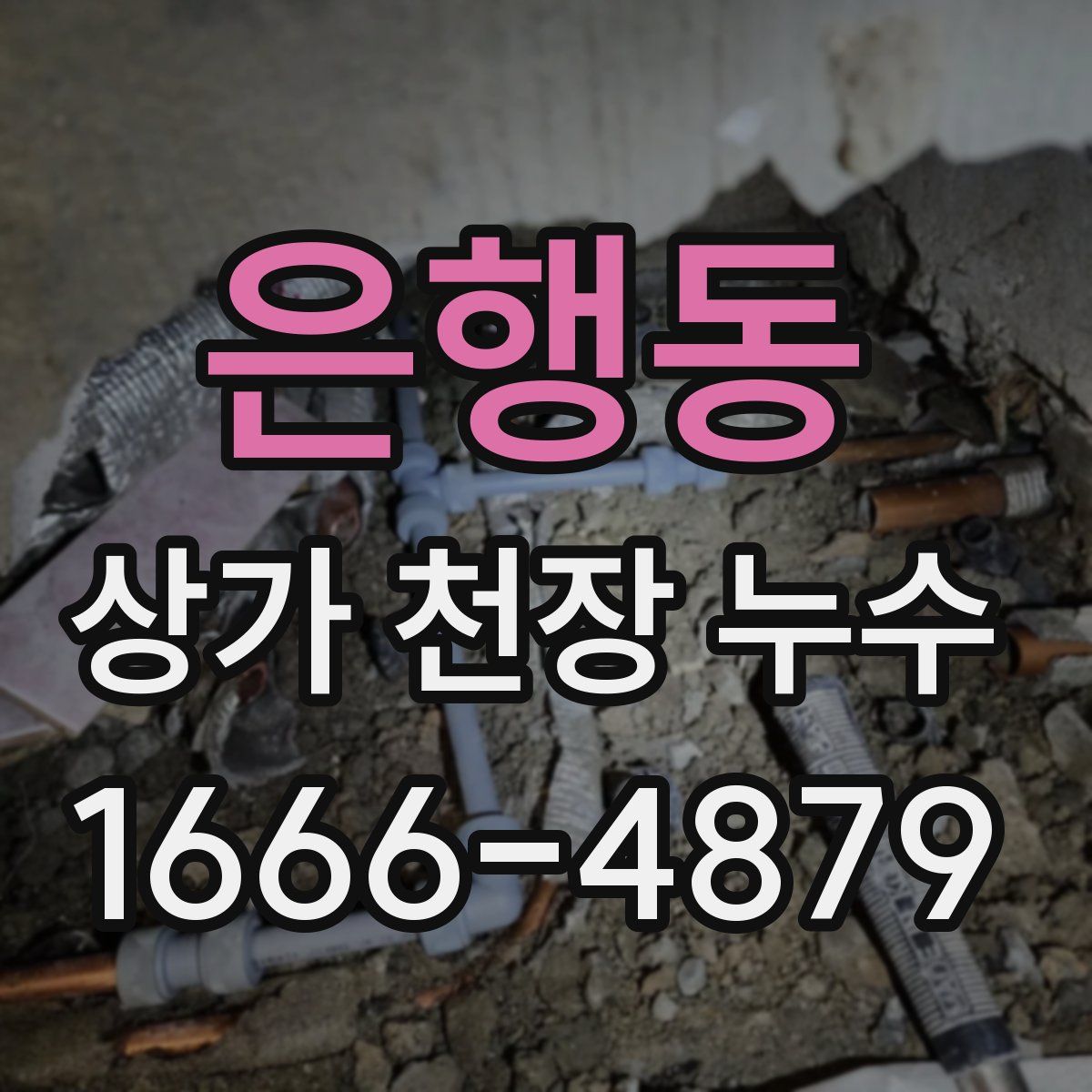 은행동 상가 천장 누수