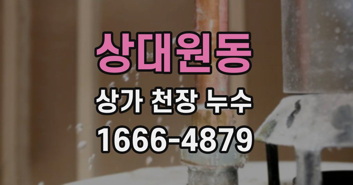 상대원동 상가 천장 누수