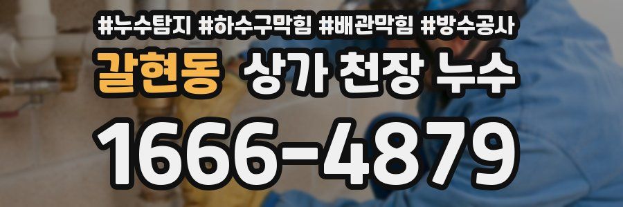 갈현동 상가 천장 누수