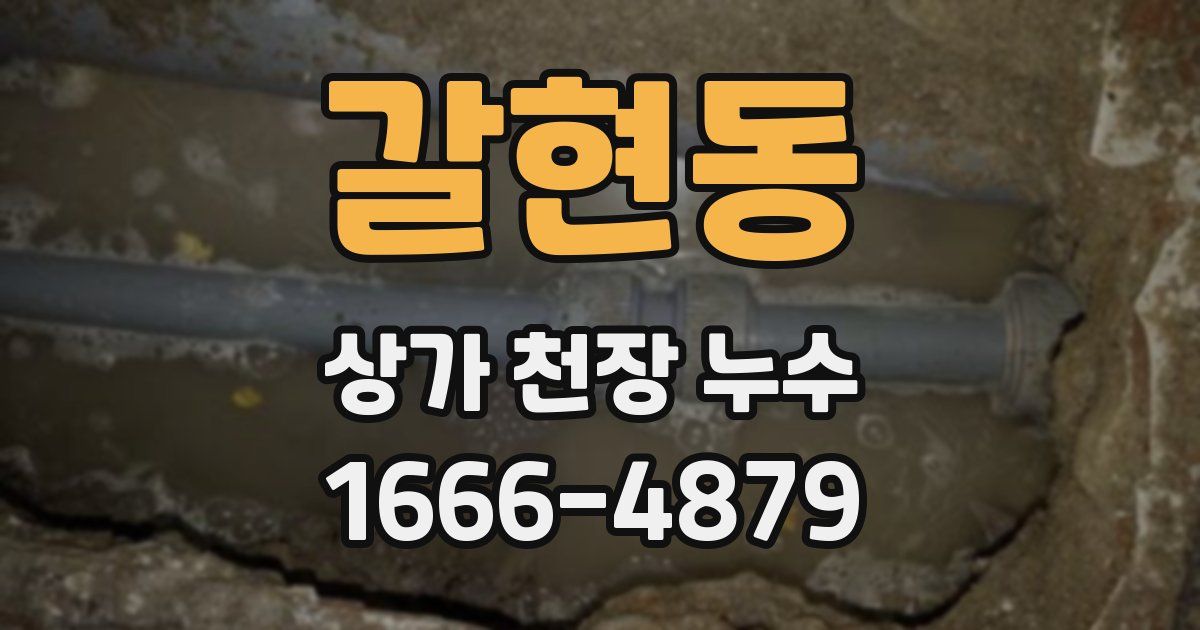 갈현동 상가 천장 누수
