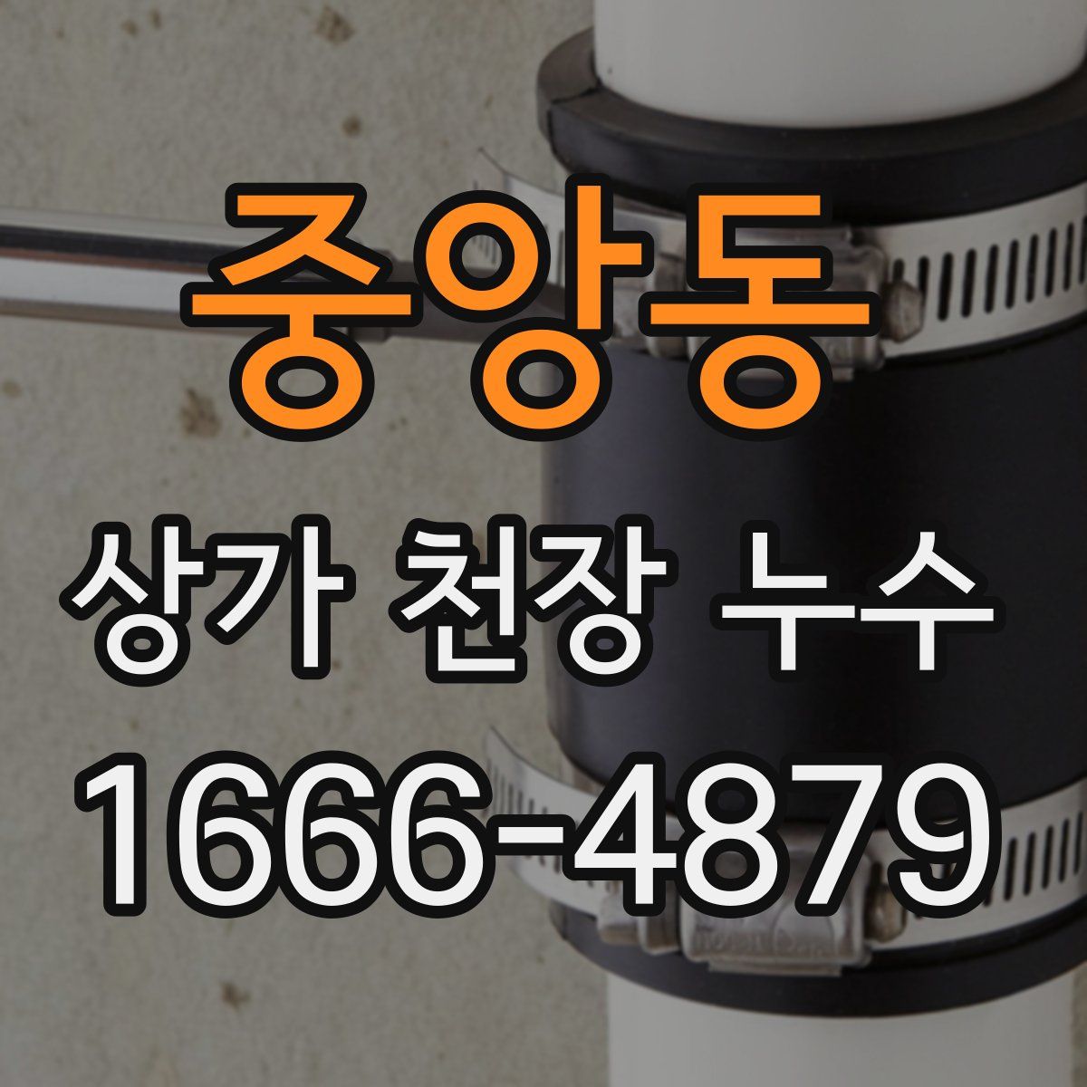 중앙동 상가 천장 누수