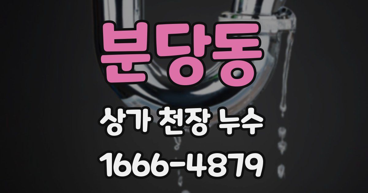 분당동 상가 천장 누수