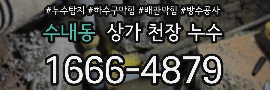 수내동 상가 천장 누수