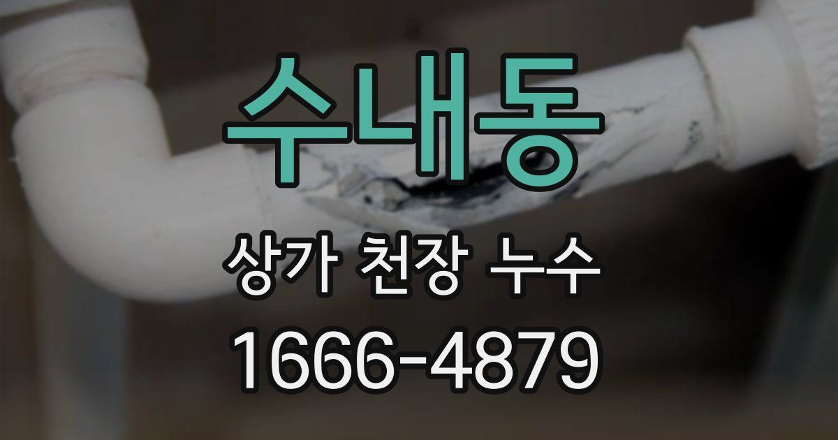 수내동 상가 천장 누수