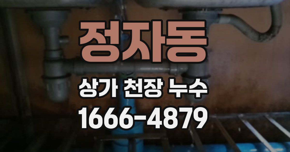 정자동 상가 천장 누수