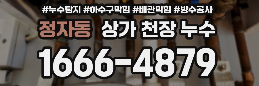 정자동 상가 천장 누수