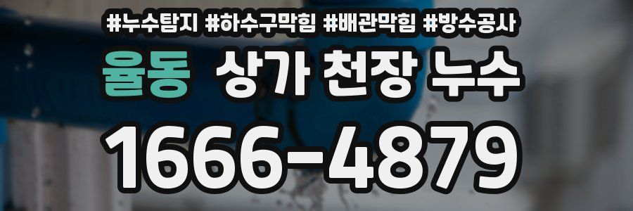 율동 상가 천장 누수