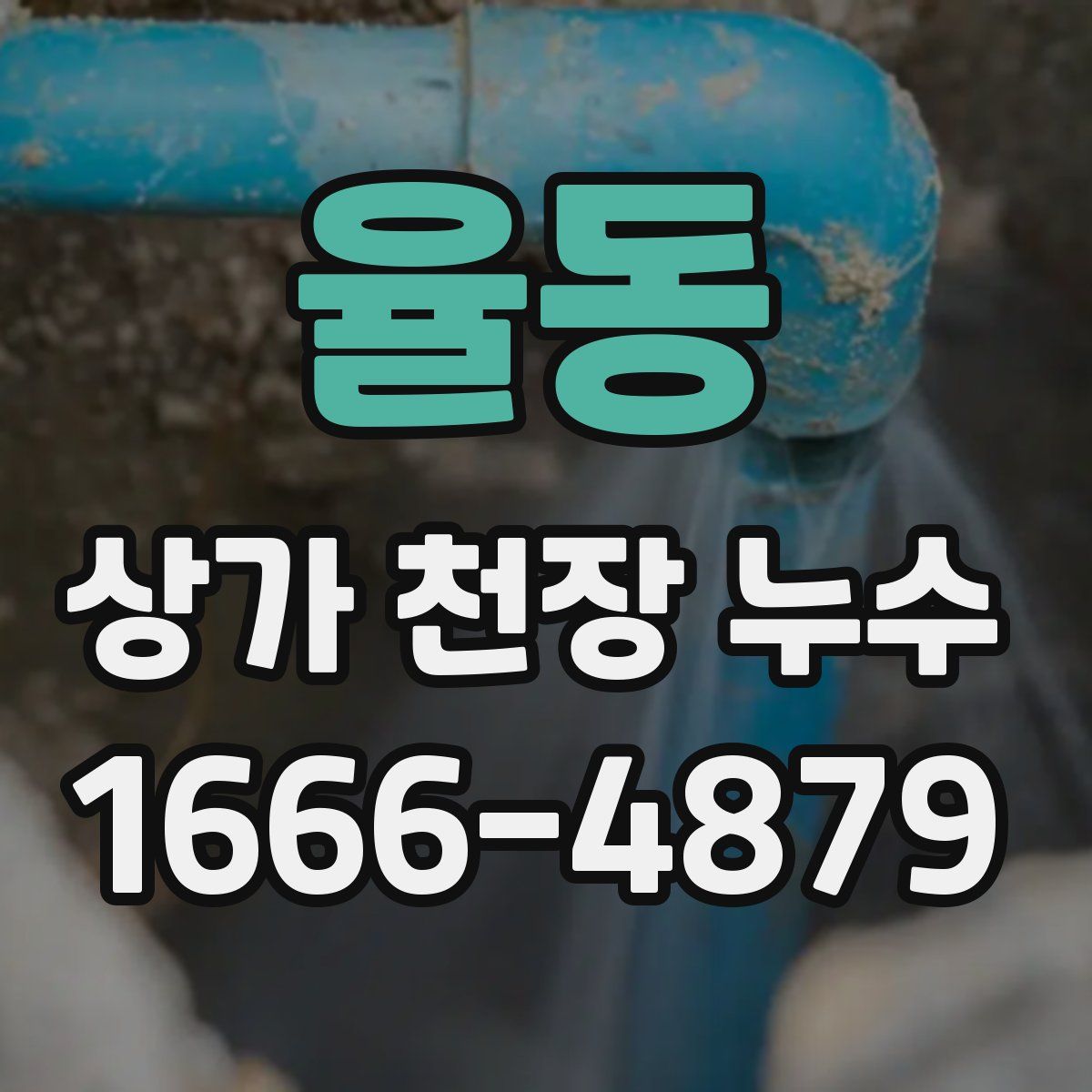 율동 상가 천장 누수