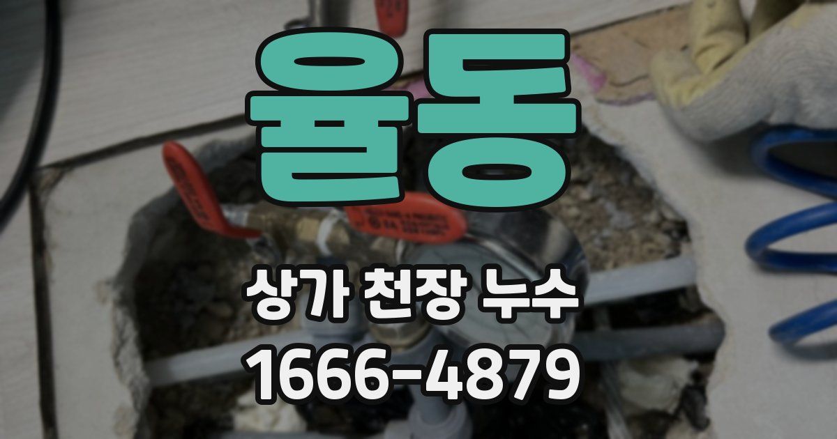 율동 상가 천장 누수
