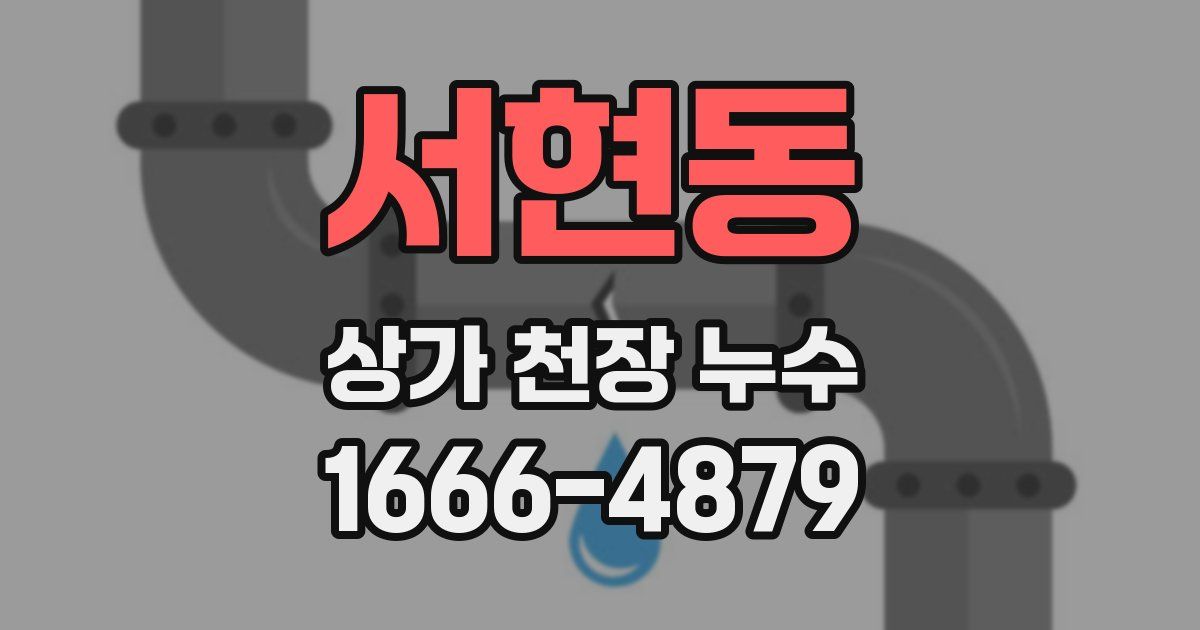 서현동 상가 천장 누수