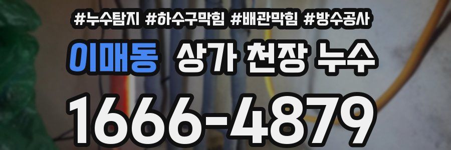 이매동 상가 천장 누수