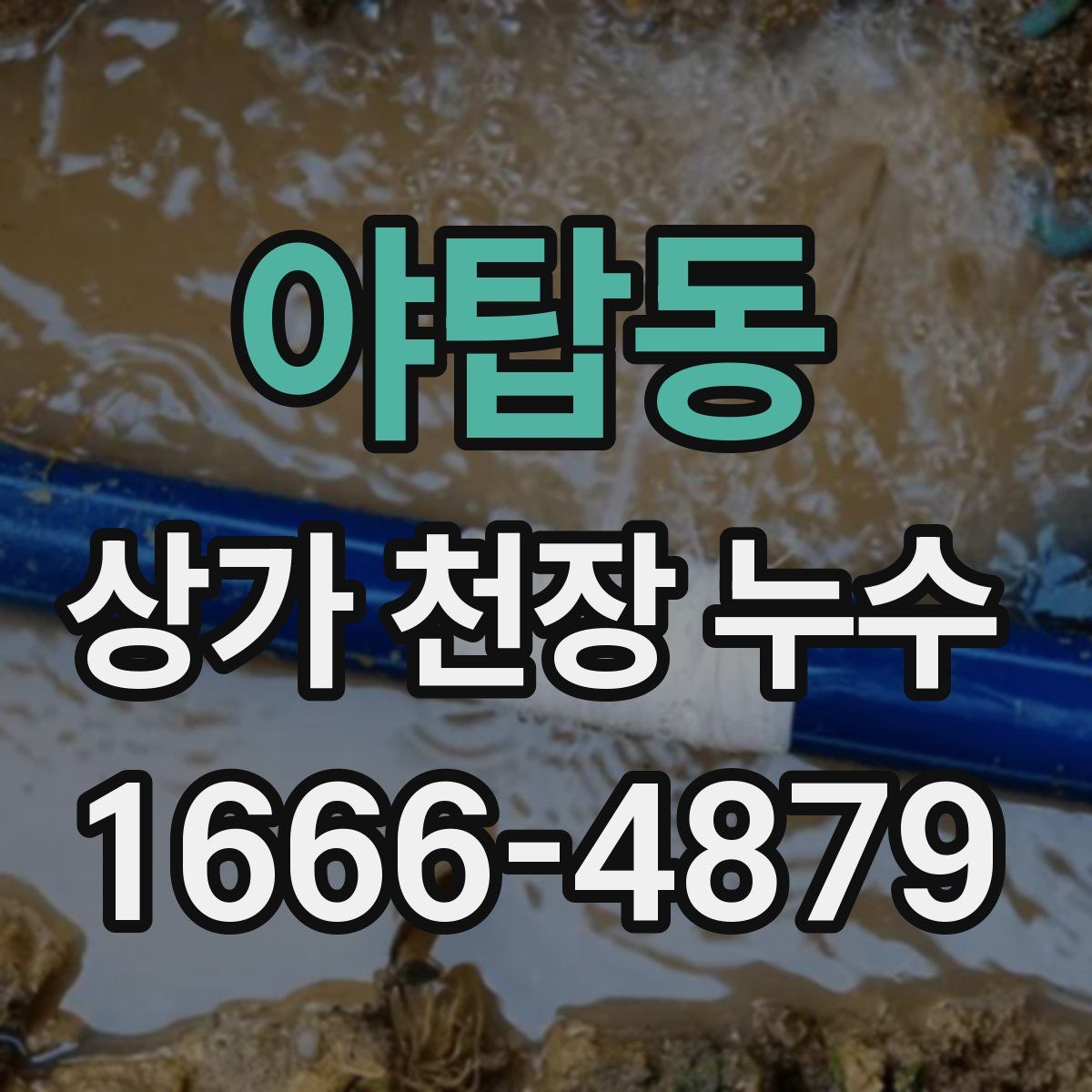 야탑동 상가 천장 누수